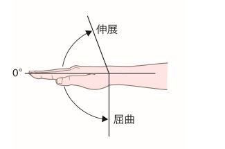 Hand flexion　dorsiflexion